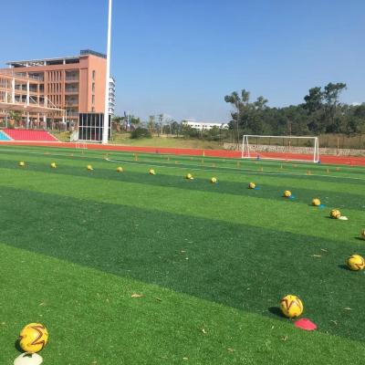 China Highly cost-effective turf hybrid artificial  for football, soccer field for sale