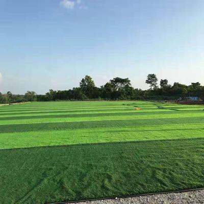 China 60mm High Soccer Grass Artificial Grass Carpet Surface Football Grass DIY turf for sale