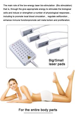 China Anti Cellulite Lipo Laser Slimming Machine For Fat Loss No Recovery Period OEM for sale
