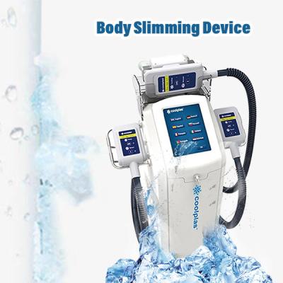 China 230VAC Cryolipolysis Slimming Machine Weight Loss wind cooling 30cm×40cm×90cm 30kg for sale