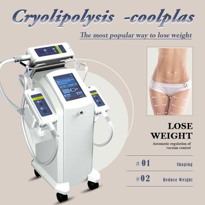 China Body Slimming Cryo Fat Reduction Machine , Cryolipolysis Equipment for sale