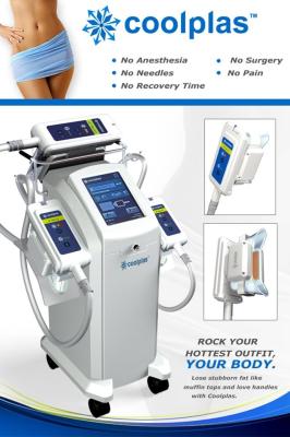 China FDA Approved Fat Freezing Cryolipolysis Beauty Machine No Pain for sale