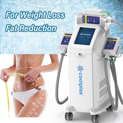 China Weight Loss Cryolipolysis Slimming Machine Fat Reduction With 3 Handles for sale