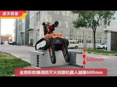 RXR-MC80BGD Explosion-proof firefighting and scouting robot