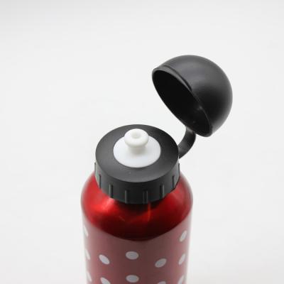 China High Quality Silk Print Bicycle Aluminum Sports Water Bottle for sale