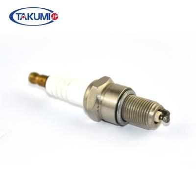 China Champion RN2C Spark Plug  Iridium Tip replace RN79G / Denso GE3-1 GE3-5A / Bosch 731 for sale