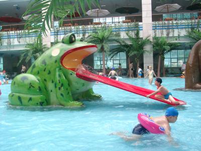 China Frog Shaped Pool Water Slide Fiberglass for sale