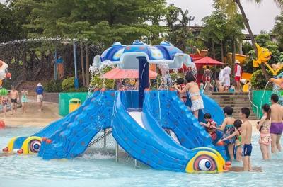 China Funny Kids Water Park Playground Slides for sale