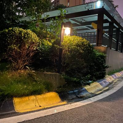 Cina Luce solare della bitta di via del giardino 100 lumi decorativo d'annata in vendita