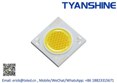 中国 二色の穂軸 LED の破片 2700K-6500K の動的白い穂軸 LED は 24W を配列します 販売のため