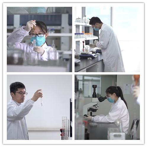Fournisseur chinois vérifié - Jinan Grandwill Medical Technology Co., Ltd.