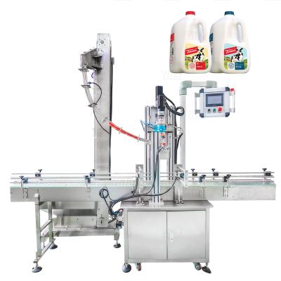 China Plastic HDPE Milk Bottle Screw Capper Pneumatic Pressure Lock Screwing Capping Machine Te koop