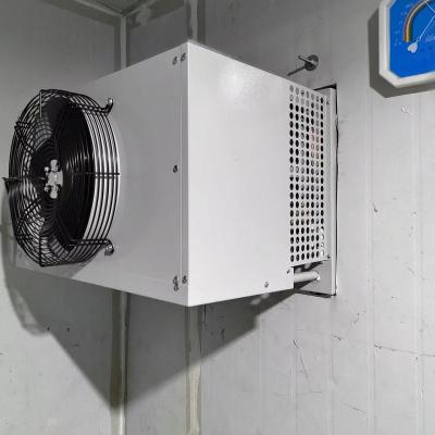China Industrial Cold Room Freezer Evaporative Condensing Unit for sale