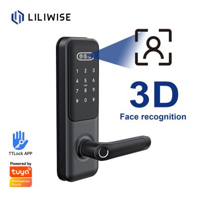 China Facial Recognition Smart Camera Door Lock For Hotel Airbnb for sale