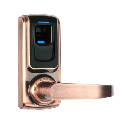 China Residential Fingerprint Door Lock Zinc Alloy SJ6024 Digital Green Brass for sale