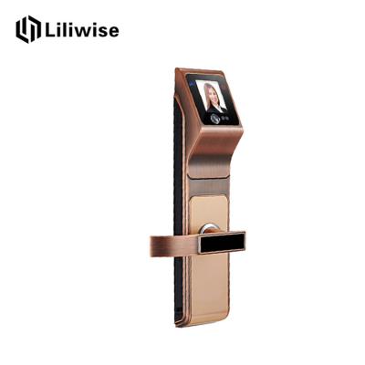 China Home Face Recognition Door Lock Multiplicate Ways To Unlock Operation Easily for sale