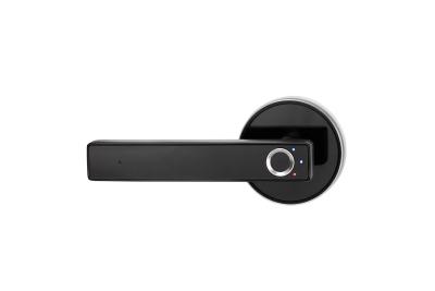 China Smart Black Simple Biometric Fingerprint Digital Electronic Door Handle Lock for sale