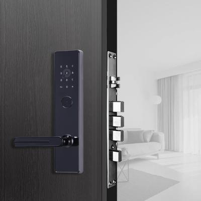 China Smart Apartment Door Locks WiFi APP Access Remote Mirror Unlimited Data Capacity for sale