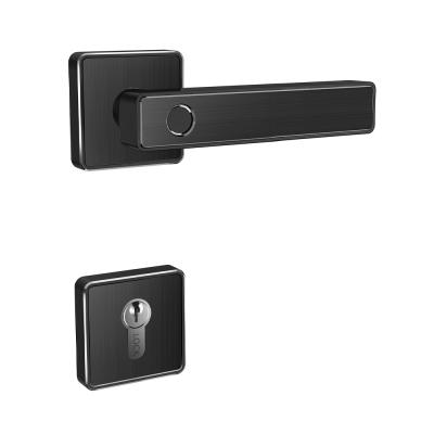 China Wifi Bluetooth Fingerprint Handle Door Lock Alarm Digital Cylinder Smart Door for sale