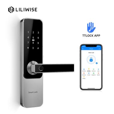 China European Bluetooth Door Lock Smart WiFi Fingerprint Bluetooth America Standard Handle Lock for sale