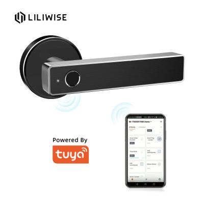 China Tuya WiFi App Bluetooth Door Lock Biometric Fingerprint Door Handle Digital Keyless Smart Door Lock for sale