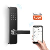 China Electronic Smart Door Locks Security Tuya APP WiFi For Home CE FCC ROHS for sale