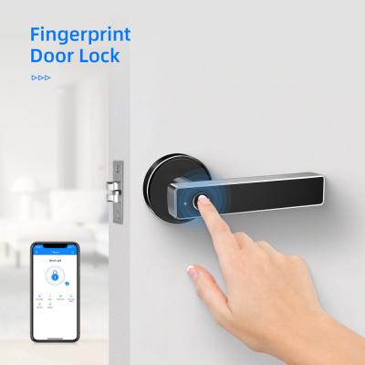 China Wifi Smartphone Apartment Door Locks Electronic Keyless Door Lock / Fingerprint Unlock Door Locks for sale