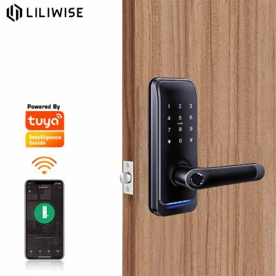 China Electrical Panel Home Smart Lock For Remote Control Gate for sale