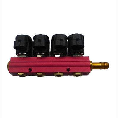 China LLANO 4 Cylinder LPG CNG Injector Rail For Autogas Conversion Kit for sale