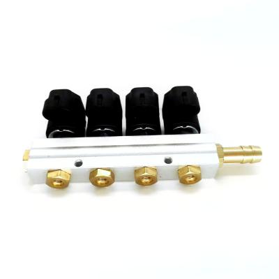 China 2Ohm Autogas Injection LPG Gas Injectors rail LN-ACW04 For CNG Vehicles for sale