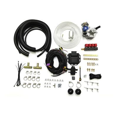 China Petrol To Liquified Petroleum Gas Auto CNG LPG Conversion Kits 4 Cylinder EFI Conversion Kit for sale
