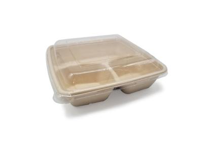 China Disposable biodegradable takeaway bagasse sugarcane pulp food container with lid for sale