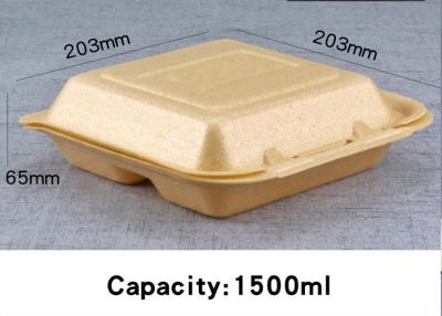 China Biodegradable Corn Starch Disposable Foam Food Containers Lunch box Cup for sale