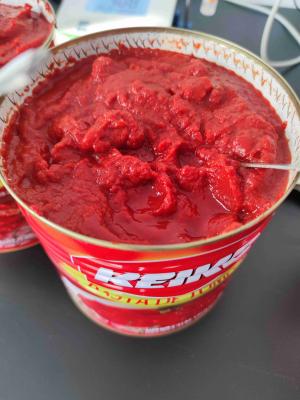 Chine 2 Years Expiry Date Canned Tomato Puree Bostwick 5.0--9.0cm/30sec à vendre