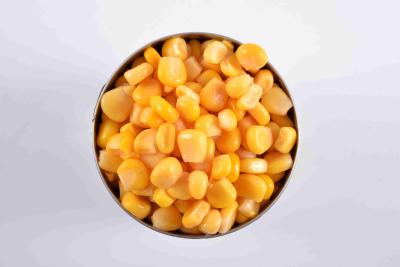 China OEM Grade A Canned Whole Kernel Sweet Corn Water Preservation Process for sale