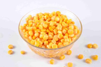 China New Crop Canned Sweet Kernel Corn in Brine Vegetable in Can or Jar for sale