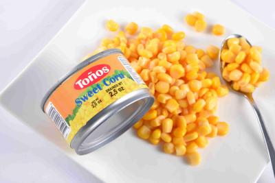 中国 安全で新しく自然な缶詰にされたスイート コーンの栄養価が高いシロップの保存プロセス 販売のため