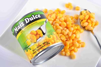 China Juiciest Canned Corn Kernels Rich In Protein No Add Any Artificial Colors for sale