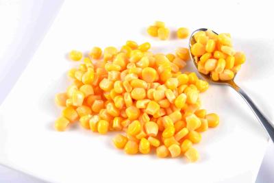China El tipo cocido al vapor corazón entero del maíz/conservó maíz dulce del corazón ningunos colores artificiales en venta