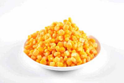 中国 新しくおいしい全穀粒のスイート コーン/缶詰になる新しいトウモロコシ豊富な澱粉および繊維 販売のため