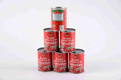 China Nenhum aditivo artificial enlatou a pasta de tomate/molho de massa fresco do tomate à venda