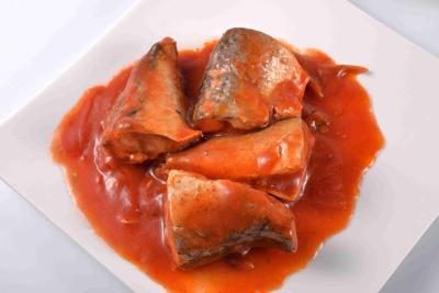Κίνα Κονσερβοποιημένα σκουμπρί ψάρια συσκευασίας κασσίτερου στην πιστοποίηση FDA HACCP σάλτσας ντοματών προς πώληση