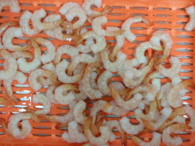 China Magnésio do marisco do camarão de Vannamei e fósforo ricos congelados frescos do cálcio à venda