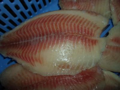 China Thailand Origin Fresh Frozen Seafood / Bulk Frozen Fish Tilapia Fillet for sale