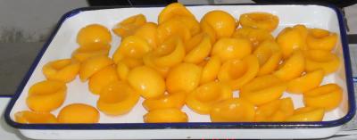 China Estação nova segura os meios pêssegos enlatados no xarope pesado provam suculentos e doces à venda