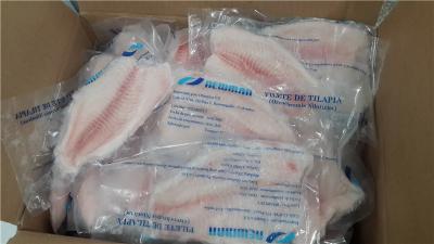 China Nutritious Fresh Frozen Seafood Tilapia Fillets Products Rich Vitamin And Mineral for sale