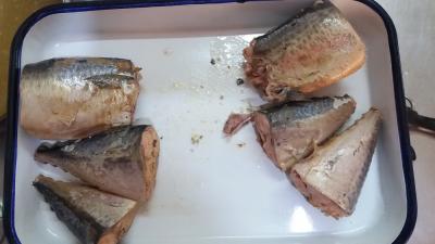China Wild Caught Canned Mackerel Healthy In Brine , Mackerel Fillets Canned For Salad for sale
