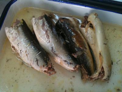 China EU Certified Mackerel Canned Fish In Brine High Heart Healthy Omega - 3 Fatty Acids for sale