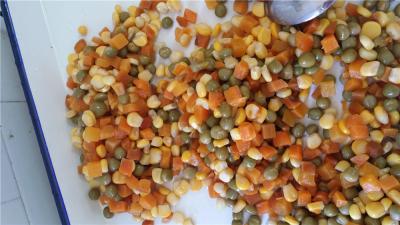 China Sabores enlatados nutritivos dos legumes misturados muito bem com valores preciosos da saúde à venda