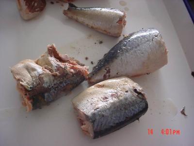 China Canned Mackerel In Brine , Jack Mackerel Canned in Tomato Sauce No Artificial Additives for sale